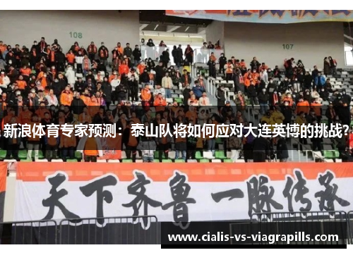 新浪体育专家预测：泰山队将如何应对大连英博的挑战？
